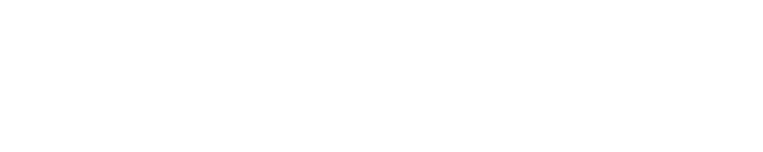 World BI Logo